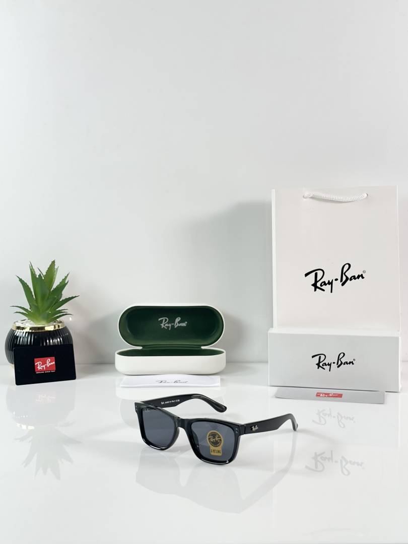 Ray-Ban Reverse 0502 Shine Black