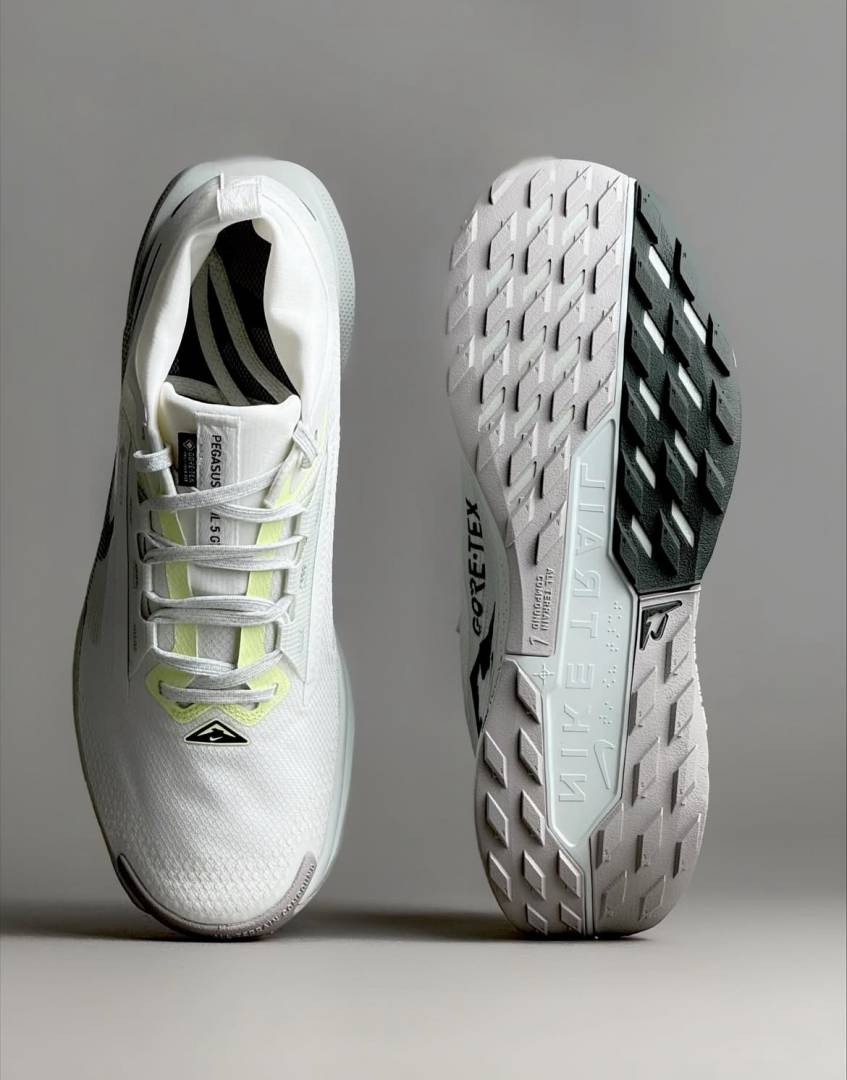 Nike Pegasus Trail 5 GORE-TEX