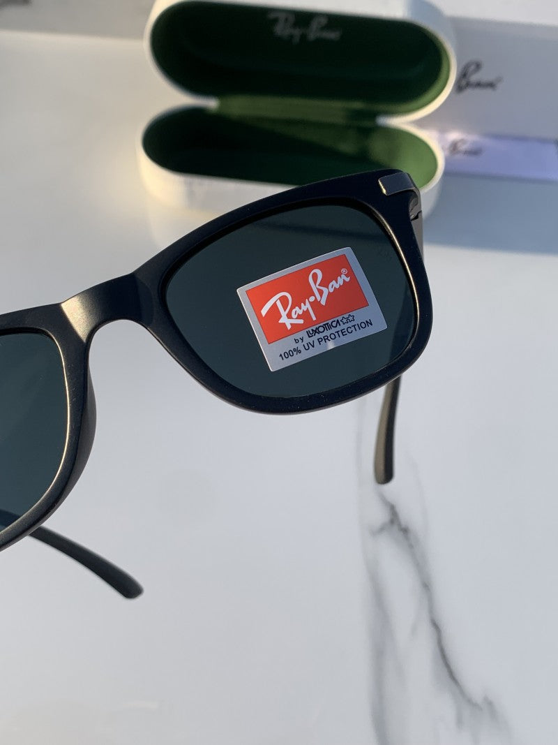 Ray-Ban 4287 full black