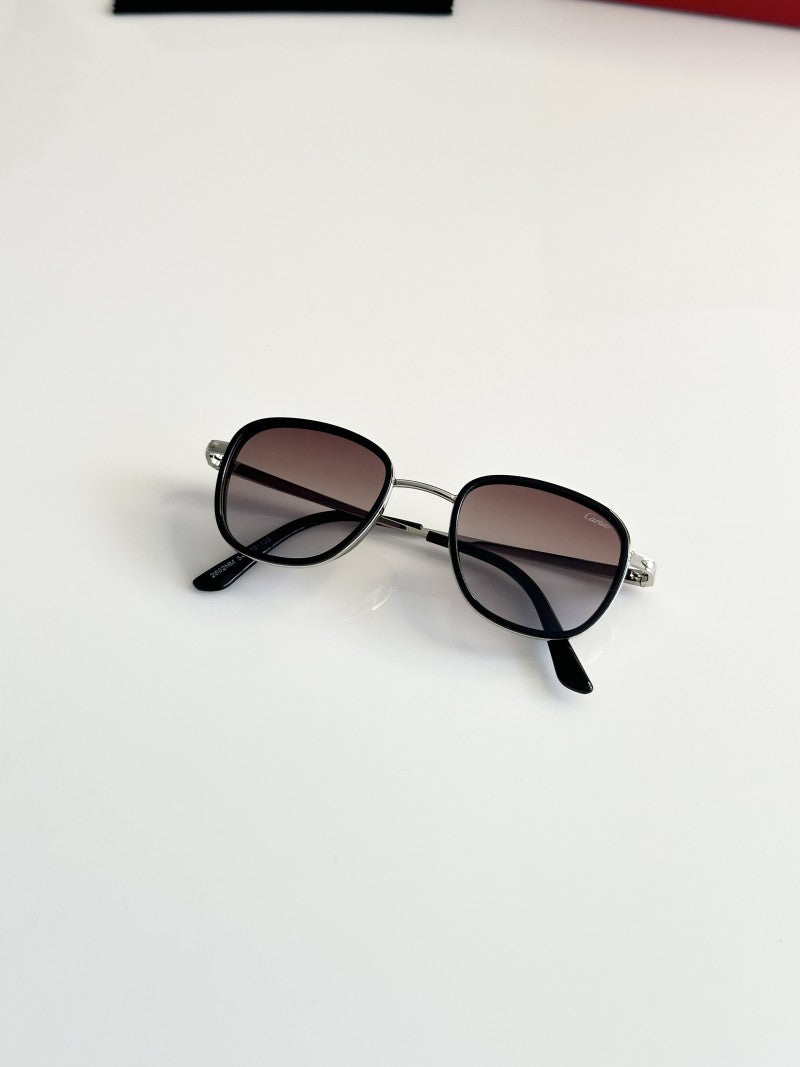 Cartier_2802_Silver_Brown_DC