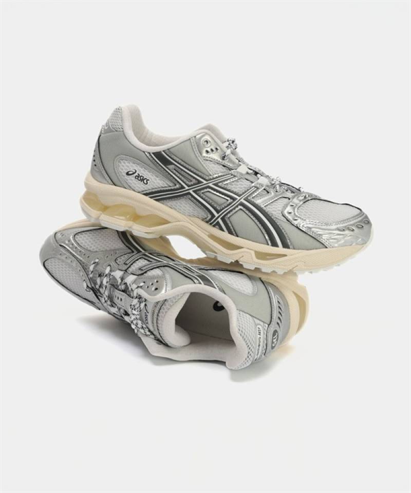 Asics Gel Nimbus 10.1 Silver Metallic
