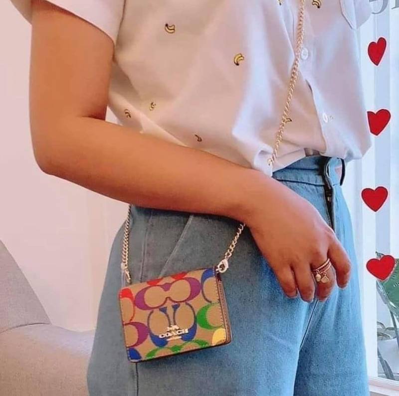 Coach_10_Mini_Chain_Wallet_With_OriginalBox