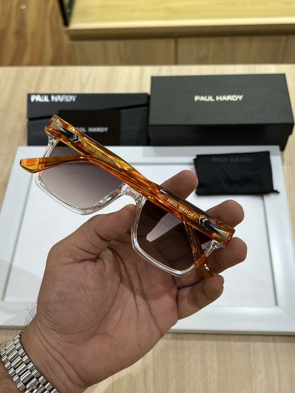 Paul hardy 3203 transparent