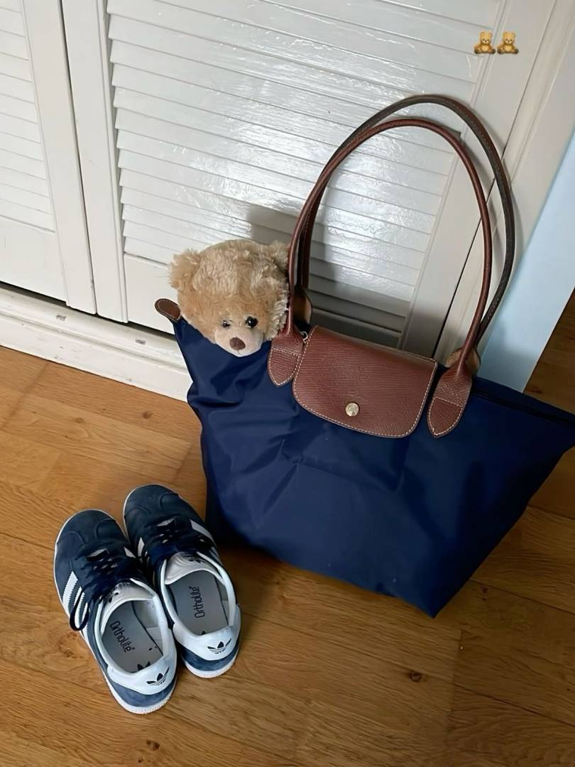 Longchamp Navy Blue Le Pliage Size M Tote bag