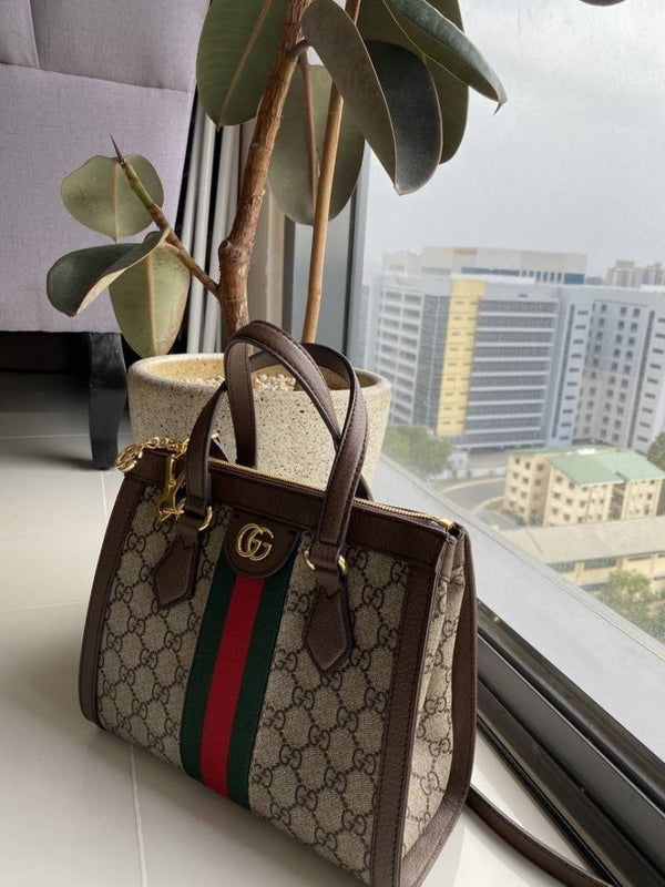 Gucci_Ophidia_Small_Tote_With_DustCover
