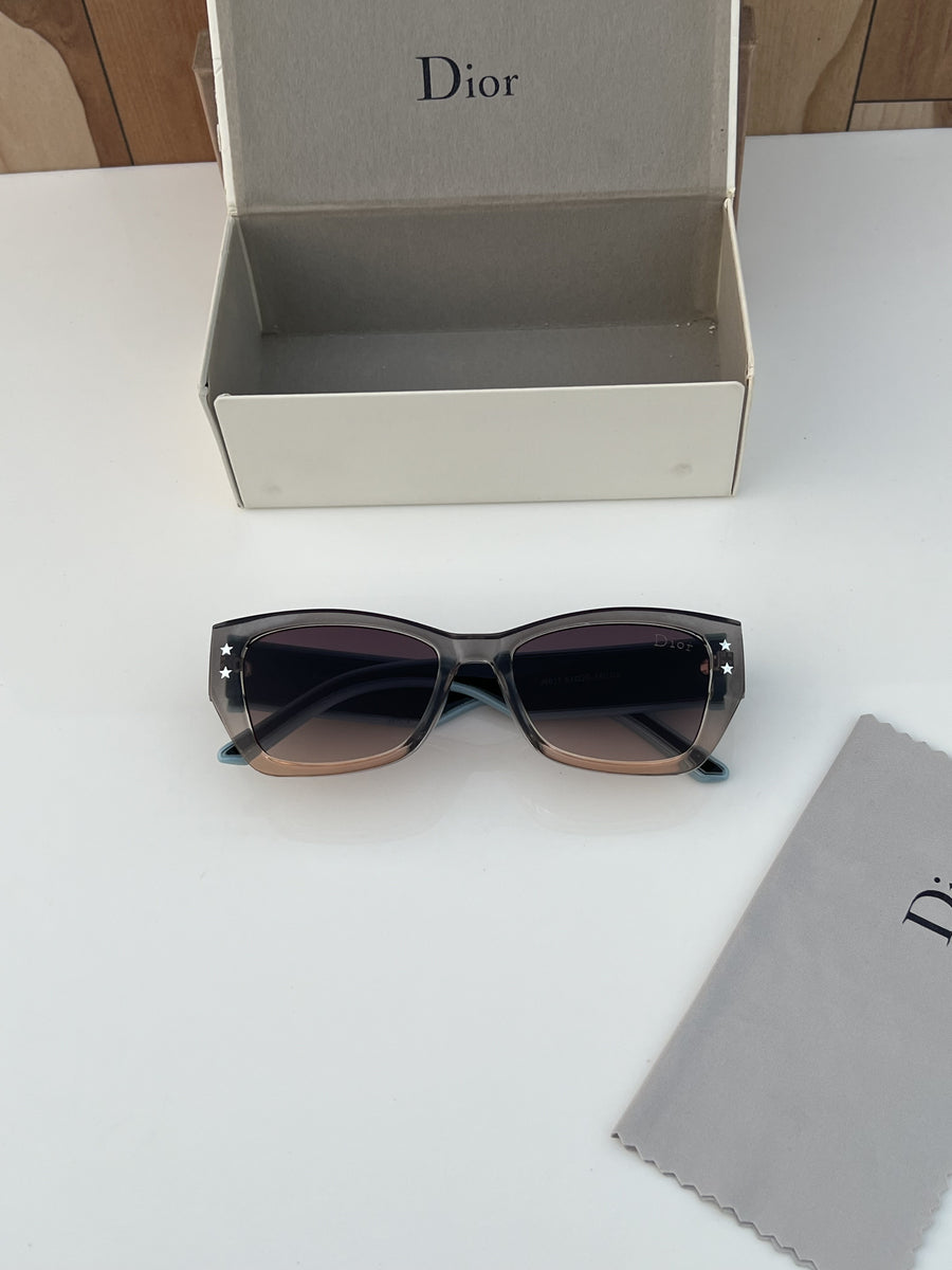 Dior_6617_grey_brown