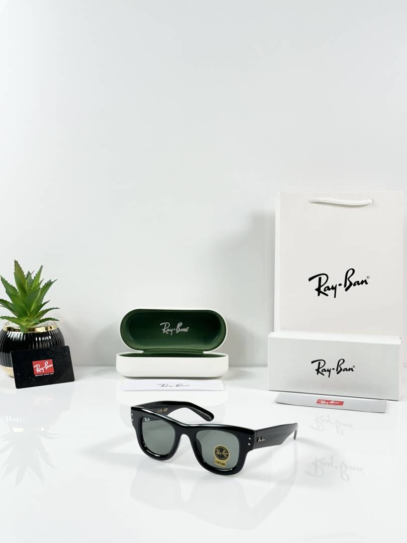 Ray-Ban Puffer 4940 Shine Black GLASS