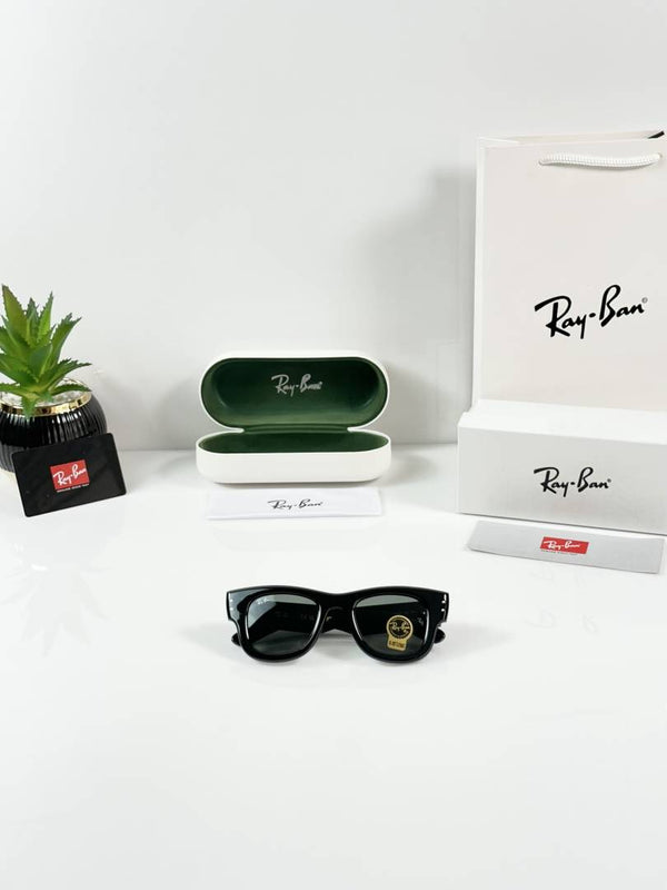 Ray-Ban Puffer 4940 Shine Black GLASS
