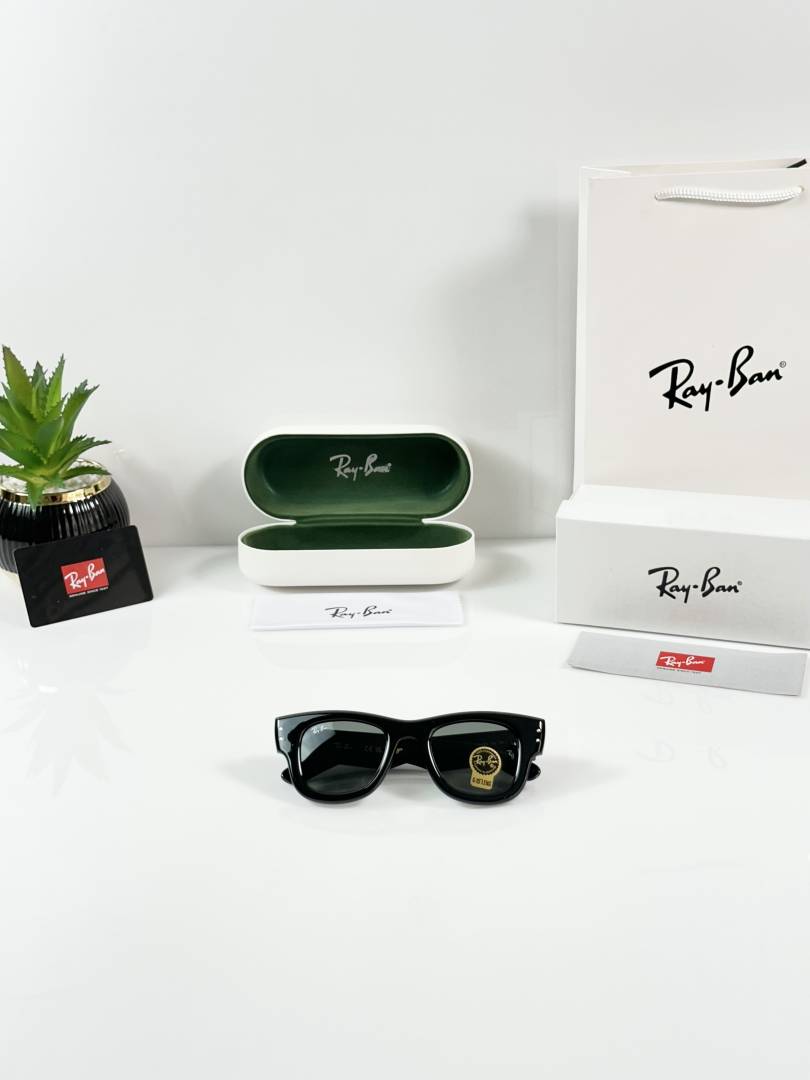 Ray-Ban Puffer 4940 Shine Black GLASS