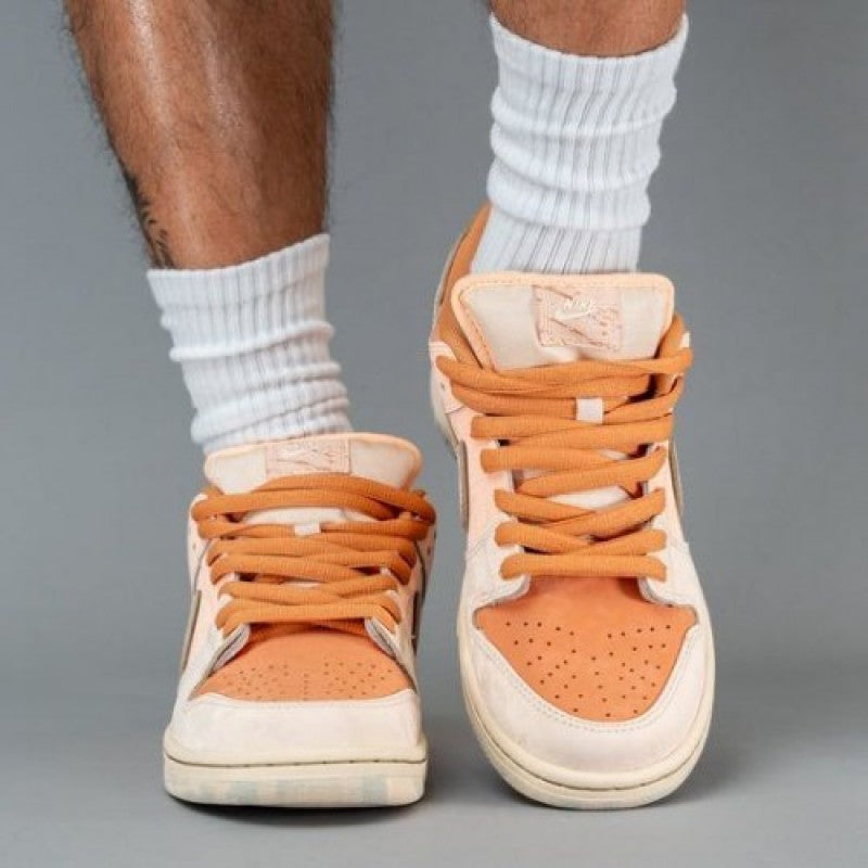 Nike sb dunk low premium trocadero