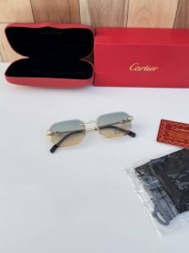 Cartiar2510_sea_green