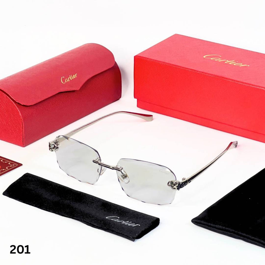 Cartier 201 silver plano