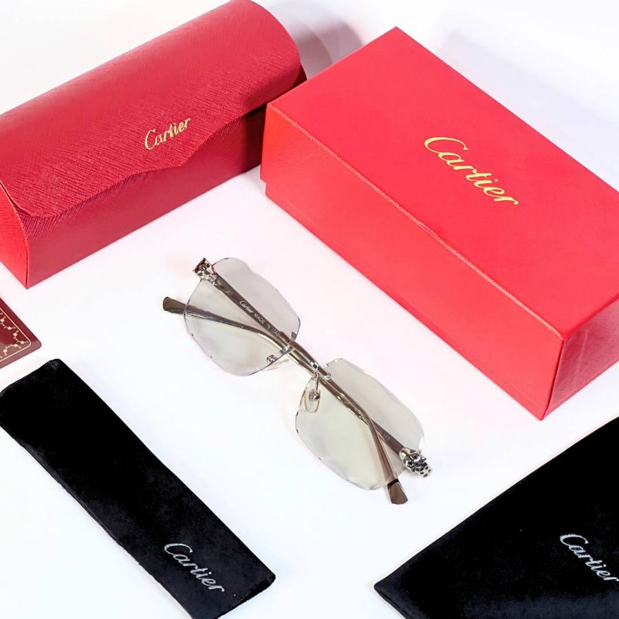 Cartier 201 silver plano