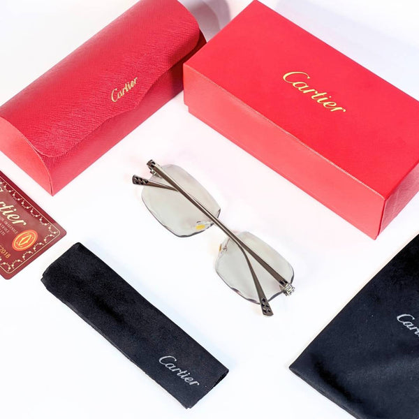 Cartier 201 silver plano