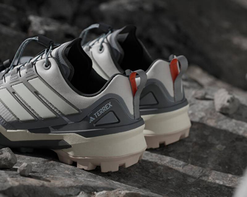 Adidas TERREX SKYCHASER GORE-TEX WHITE GREY