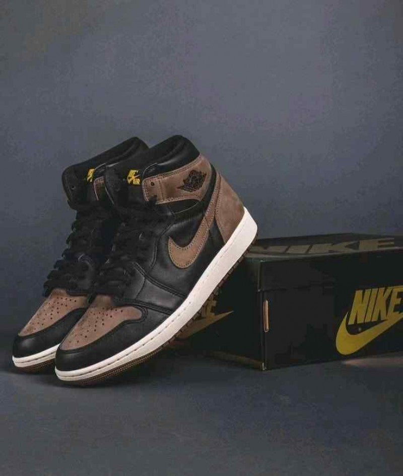 Nike Air Jordan Retro 1 Palomino Semi UA 1085
