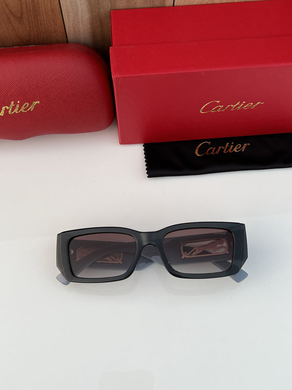 Cartier_fiber_small_grey