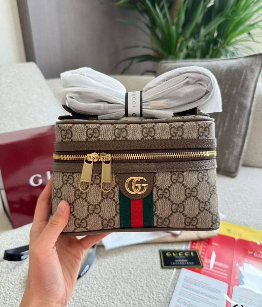 Gucci_Ophidia_Vanity_Bag_With_OriginalBox_DustCover