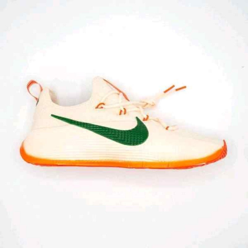 Nike honors famu lebron tr1