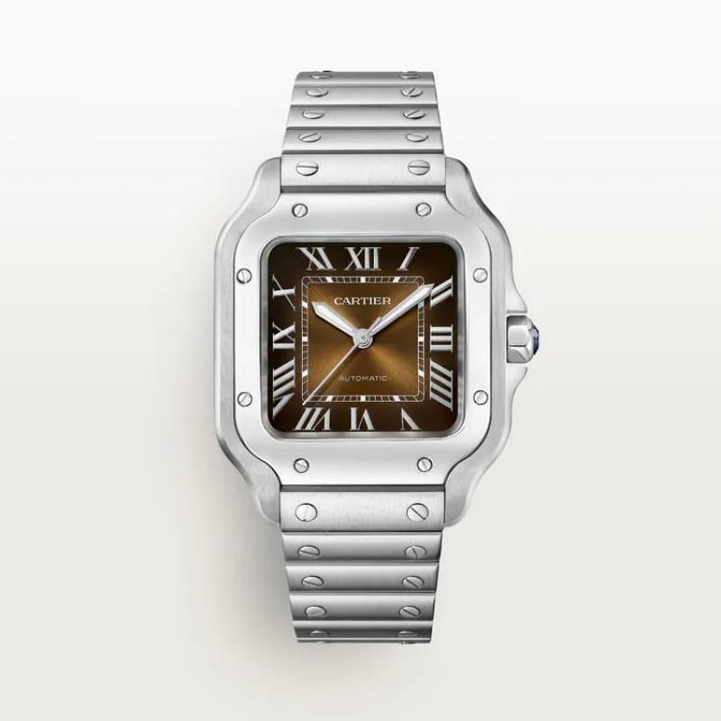 Cartier Santos Automatic silver brown