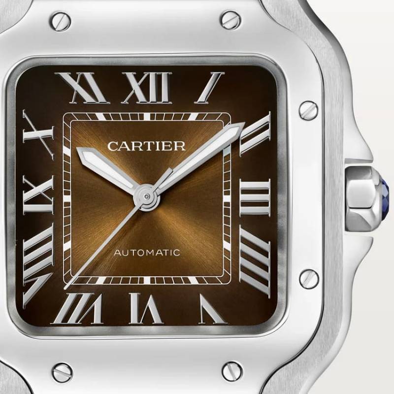 Cartier Santos Automatic silver brown