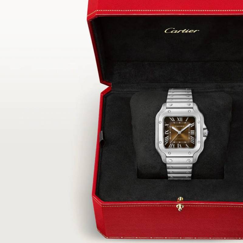 Cartier Santos Automatic silver brown