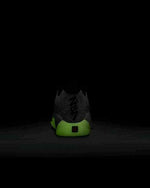 Nike Air Jordan Zion 3 No Guts