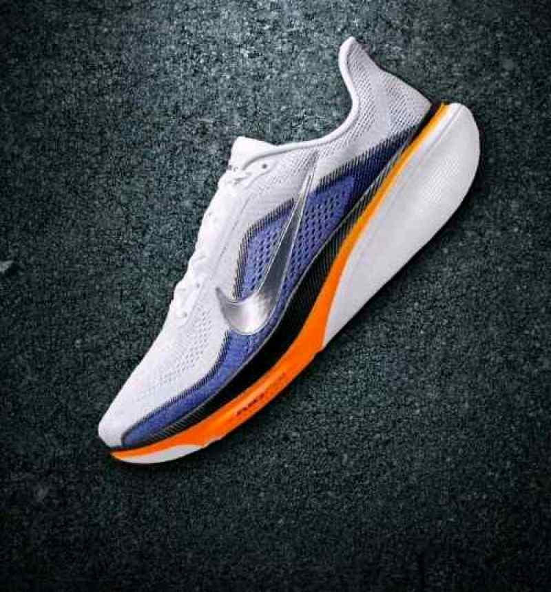 Niikee Pegasus 42 734