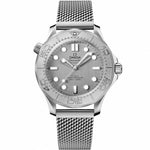 Omega Seamaster Diver 300 Automatic