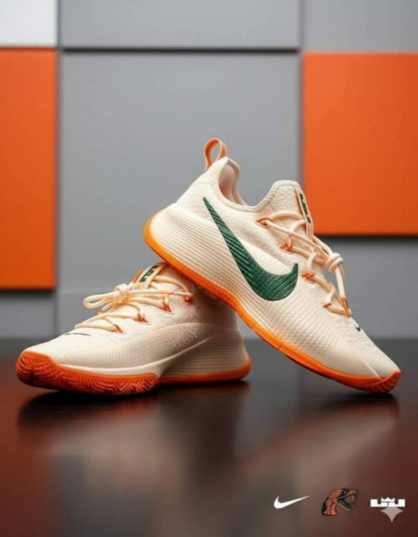 Nike Lebron TR1 Honors Famu sale
