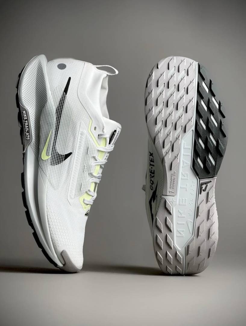 Nike Pegasus Trail 5 GORE-TEX
