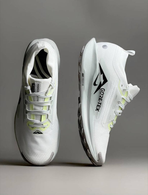 Nike Pegasus Trail 5 GORE-TEX