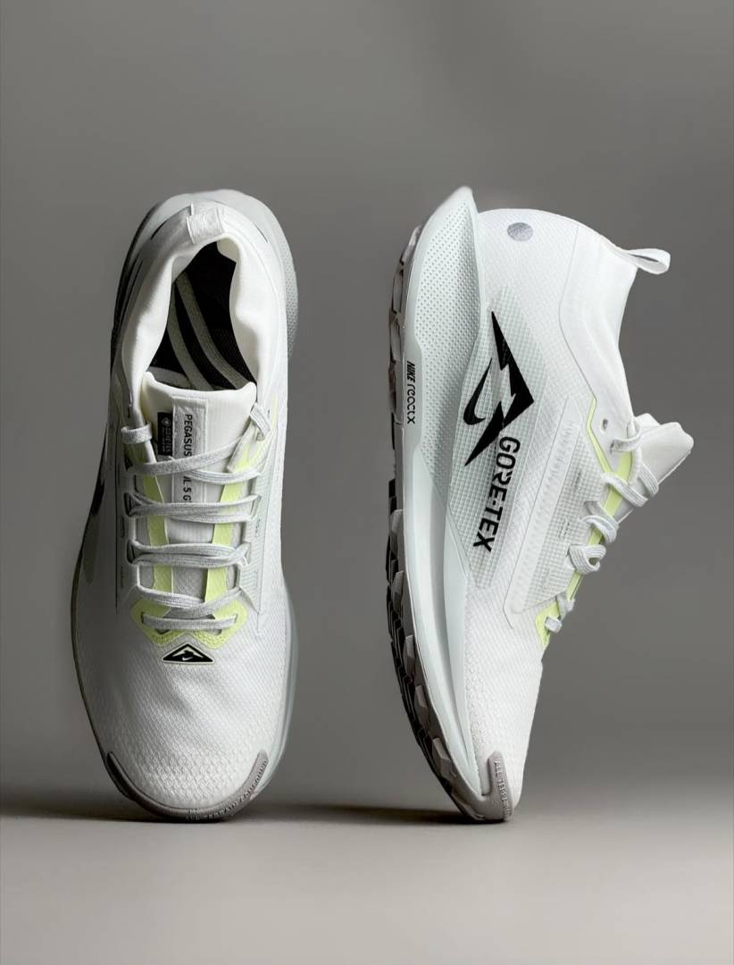 Nike Pegasus Trail 5 GORE-TEX