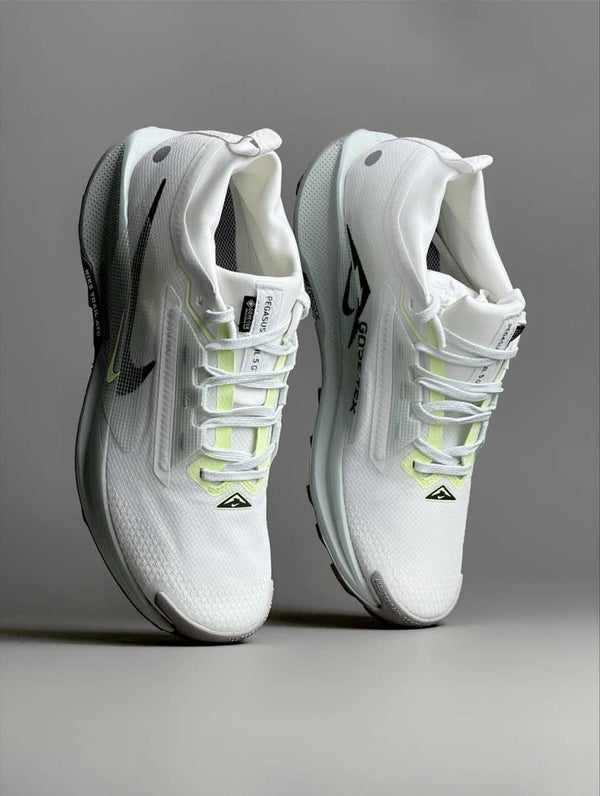 Nike Pegasus Trail 5 GORE-TEX