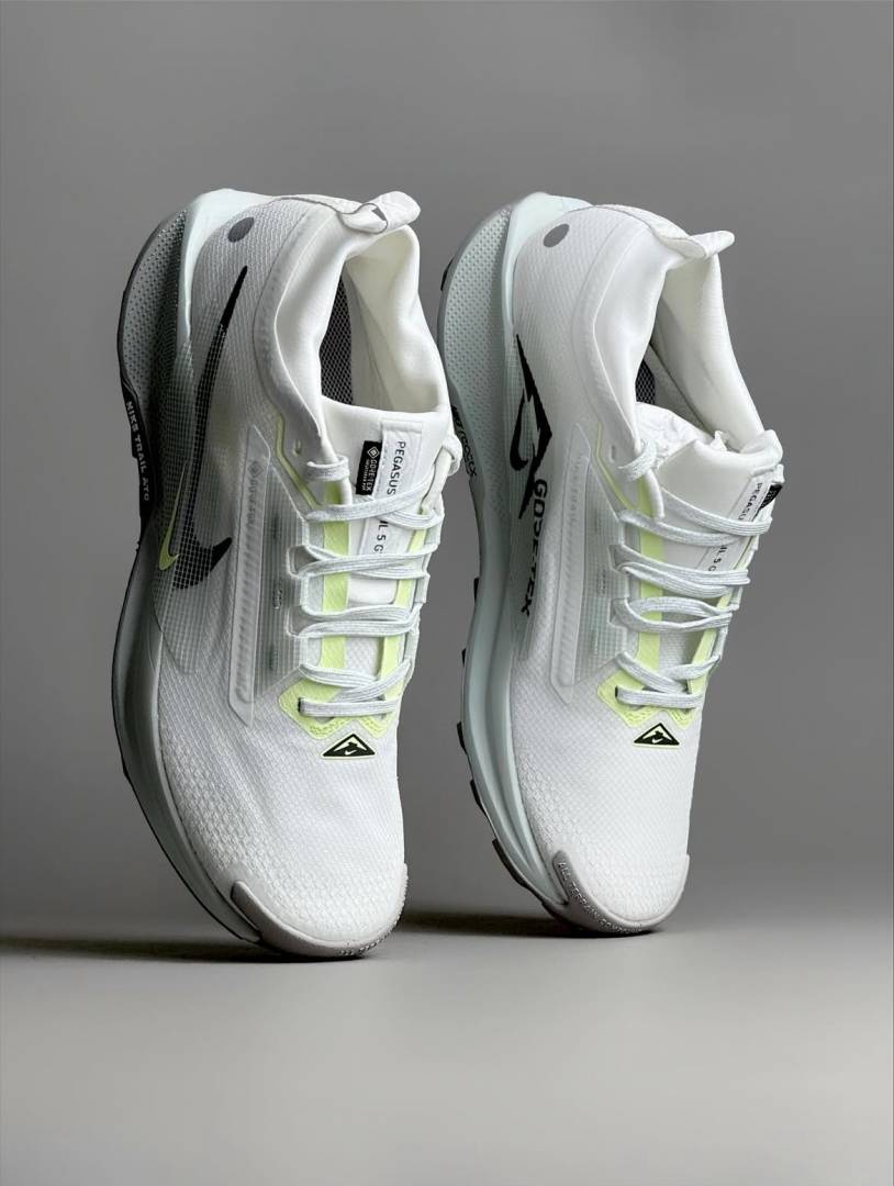Nike Pegasus Trail 5 GORE-TEX