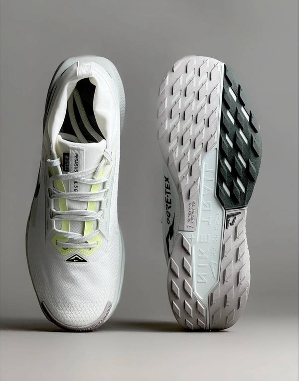 Nike Pegasus Trail 5 GORE-TEX