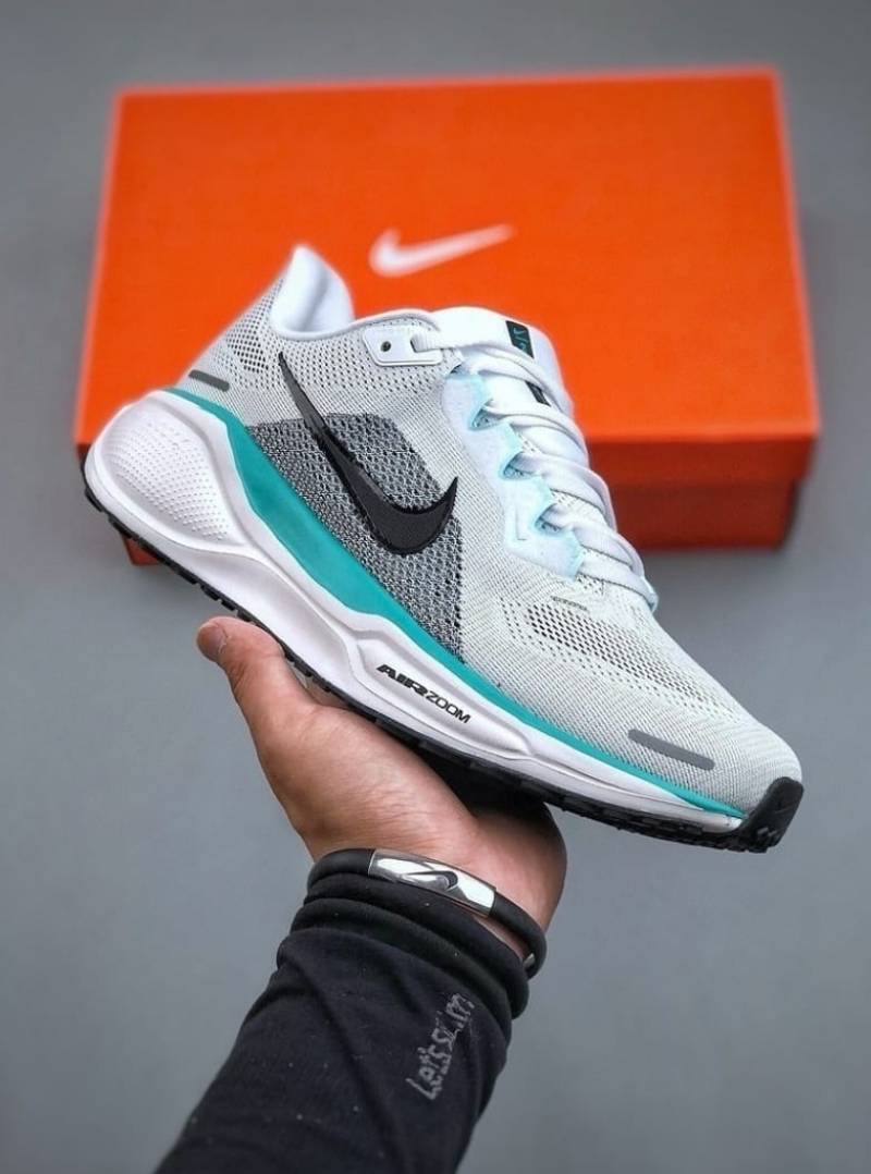 Nike Pegasus 41 White Blue