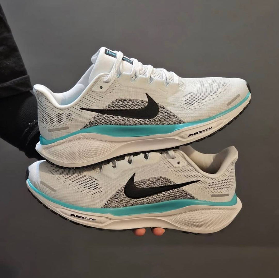 Nike Pegasus 41 White Blue