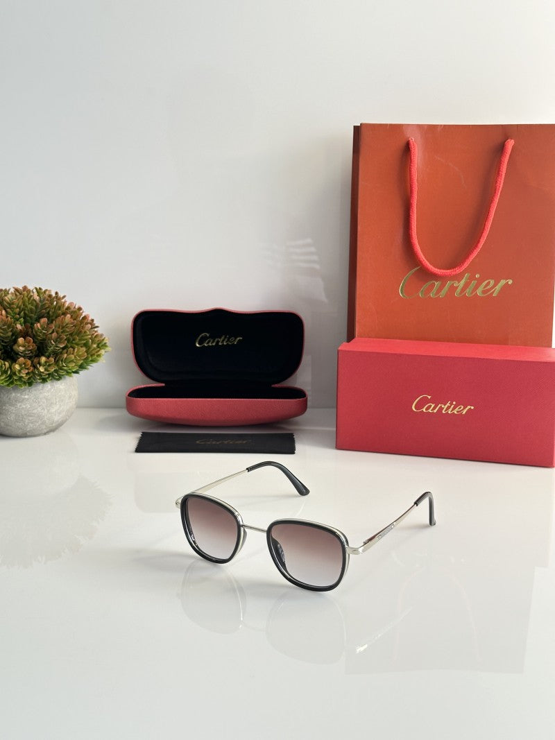 Cartier_2802_Silver_Brown_DC