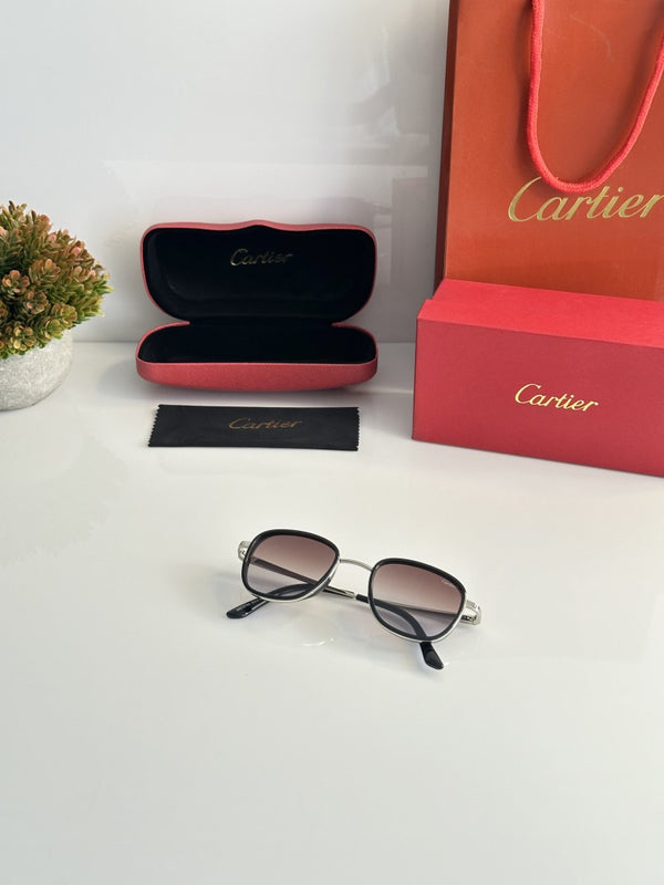 Cartier_2802_Silver_Brown_DC