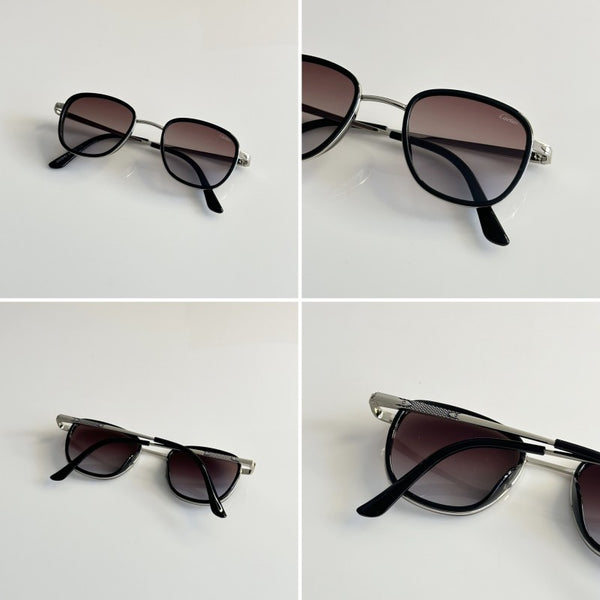 Cartier_2802_Silver_Brown_DC