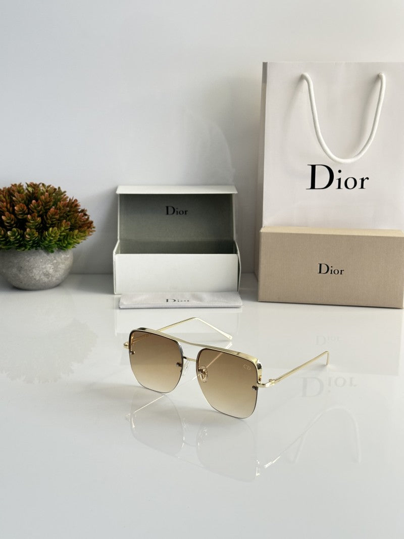 Dior_2534_Gold_Brown_DC