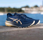 Asics Gel Kayano 31 Platinum Blue 2664