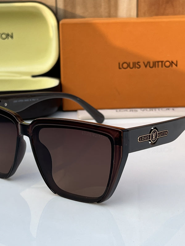 Louis Vuitton_80224_brown