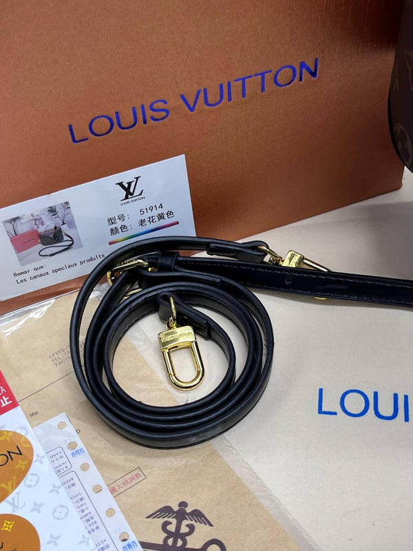 Louis Vuitton_Vanity_Bag_With_OriginalBox_DustCover