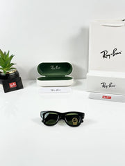 Ray-Ban Puffer 4940 Black Green GLASS