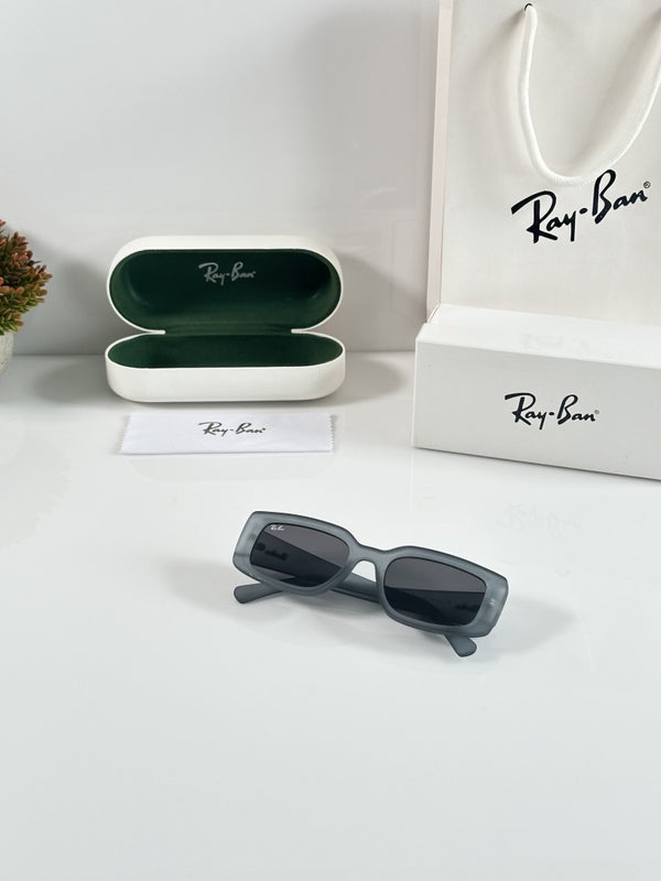 Rey ban 4395 Grey