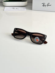 Ray-Ban 2248 Brown