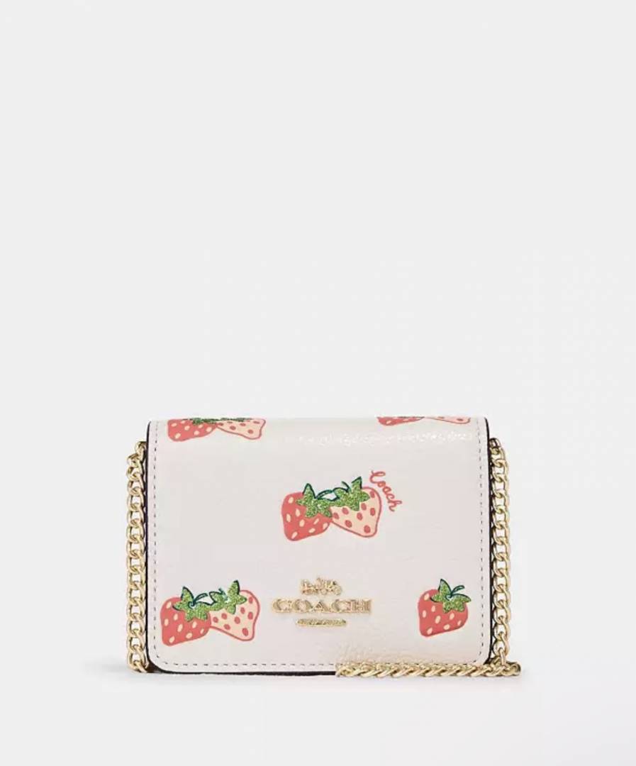 Coach Cw-2 ChainWallet With OriginalBox & DustCover