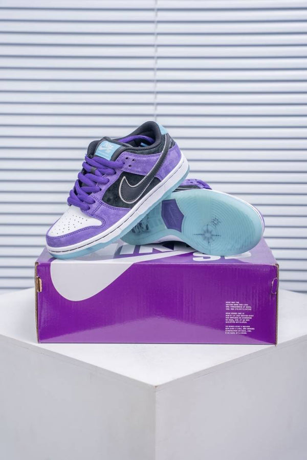Nike sb dunk low pro x hayley wilson